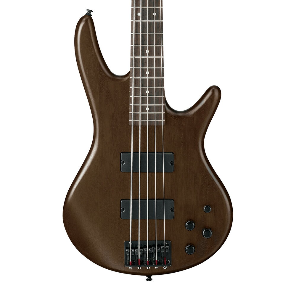 Ibanez Gio GSR205B-WNF (Walnut Flat)