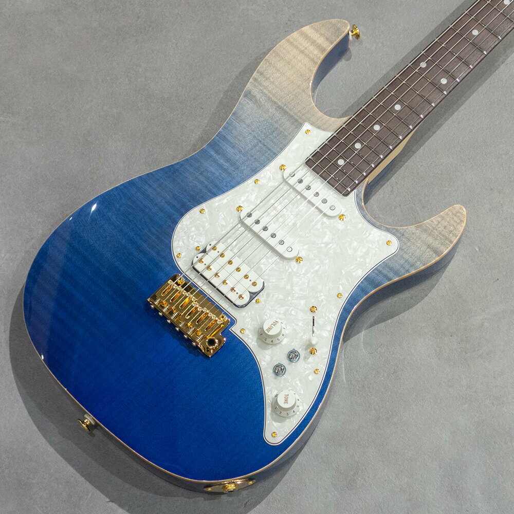 FUJIGEN(FGN) EOS2-FM-R/NBG