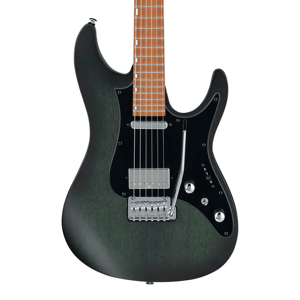 Ibanez SIGNATURE MODEL Erick Hansel EH10-TGM (Transparent Green Matte)