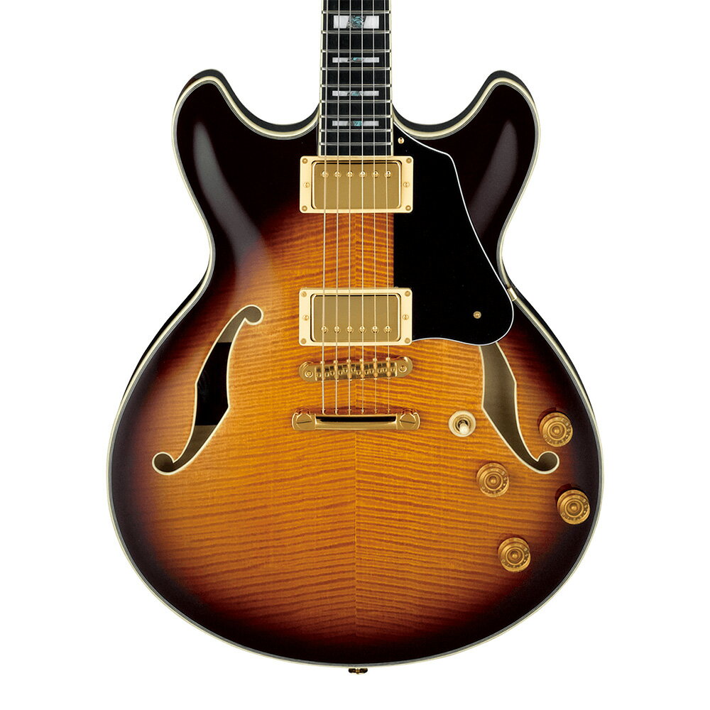 Ibanez SIGNATURE MODEL John Scofield JSM100-VT (Vintage Sunburst)