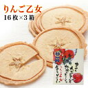 りんご乙女 16枚入×3箱 りんご お菓子 クッキー りんごせんべい RingoOtome 長野 信州 お土産