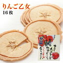 りんご乙女 16枚入 りんご お菓子 クッキー りんごせんべい RingoOtome 長野 信州 お土産(4)