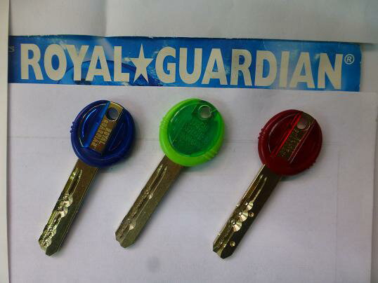 ROYAL GUARDIAN 縰ŷΥƥʣΤʸ̵ˤʤޤϡ360Ǥ