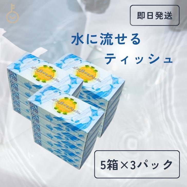 太洋紙業 水に流せるティッシュ ( 120組 (240枚) × 5個 ) ×3セット 水に流せるティッシュペーパー ティッシュ ティッシュペーパー 日本製 業務用 大容量 田子浦パルプ ティッシュ 包装ティッシュ 高級 まとめ買い 送料無料 父の日 早割