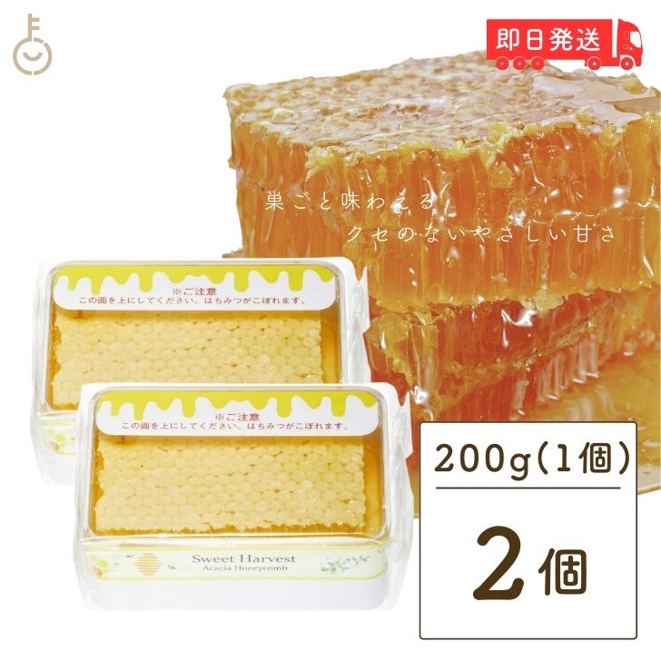 【送料無料：400g】コムハニー 巣蜜【1~2個】ハチミツ / はちみつ / ハニカム / ハニーコム / 巣みつ / 蜂蜜 / 蜂の巣 / ハチノス / 蜜蝋 / ハニー【賞味期限 2028年4月】鉄腕ダッシュ 鉄腕DASH ミツバチ 新宿DASH 母の日