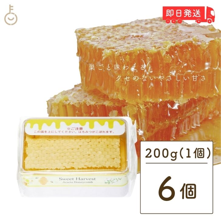 ȥϡ٥ ˭ ϥˡ 200g 6  ϥˡ Ϥߤ ϥߥ honey ˪̪ ˪̪ ...