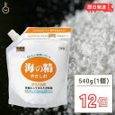 【最大400円OFF!くらしにプラス】 海の精 やきしお スタンドパック 540g 12袋 お塩 塩 天日塩 伊豆大島産海水100% 壷焼製法 焼塩 ミネラル 天日 天然塩 送料無料 ランキング お中元2025