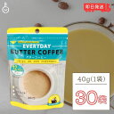 エブリディ バターコーヒー 40g 30袋 粉末 インスタントコーヒー ギー MCTオイル お試し GHEE MCT バター コーヒー グラスフェッドバター フラットクラフト ギーオイル イージー GHEE MCT ギー＆MCT