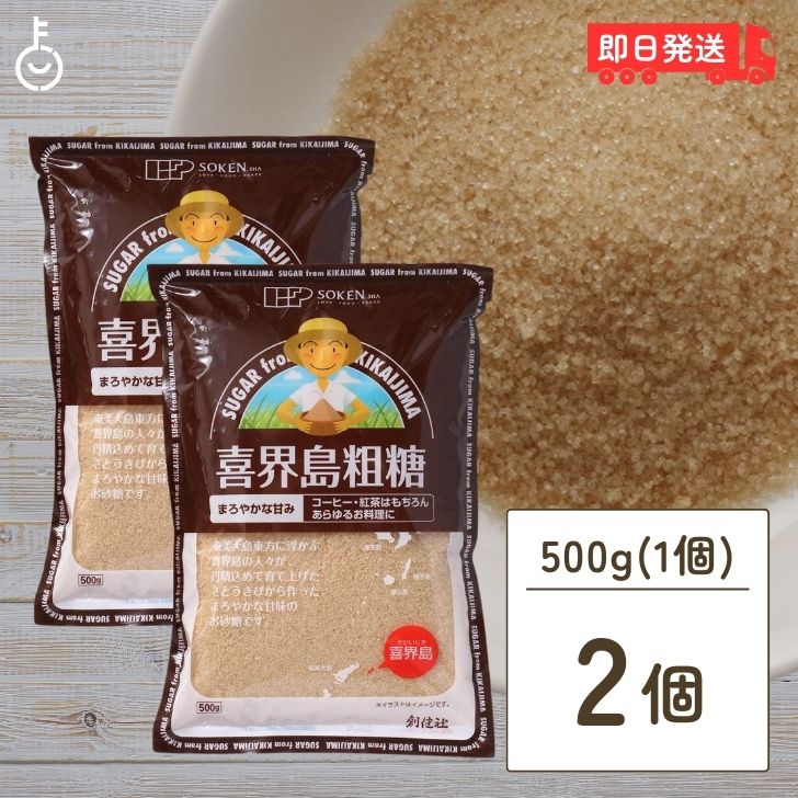 【マラソン限定！最大2000円OFF】 創健社 喜界島粗糖 500g 2袋 喜界島 砂糖 粗糖 さとうきび 製菓 砂糖 正規品 ナチュラル 天然 無添加 不要な食品添加物 化学調味料不使用 自然食品 サトウキビ きかいじまそとう きかいとう 国産 鹿児島 サトウキビ 黒砂糖