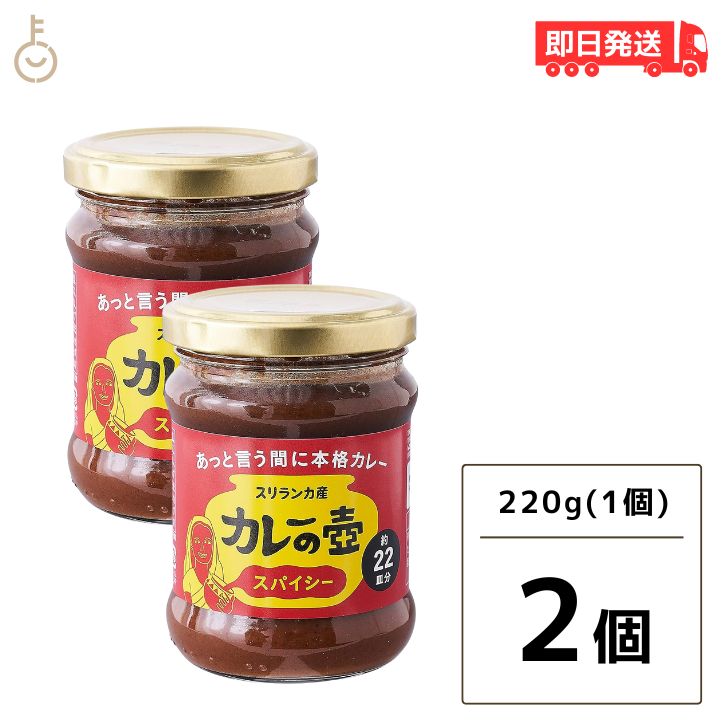 第3世界ショップ カレーの壺 スパイシー 220g 2個 やさい ベジタリアン シーフード チキン カレーペースト カレールー 第三世界ショップ スリランカカレー 本格派 時短 レシピ付き グルテンフ…