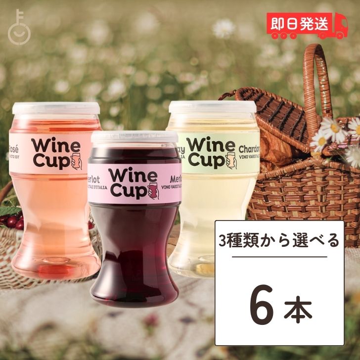 【25日限定ポイント2倍！最大2000円OFF】 イタリア ワインカップ 選べる 6本 187ml カップワイン イタリアワイン ワイン デ・アンジェリ赤ワイン 白ワイン ロゼ ロゼワイン メルロー シャルドネ ヴェネト ペットボトル ワイン ギフト お酒 酒ギフト ワインギフト 父の日 早割