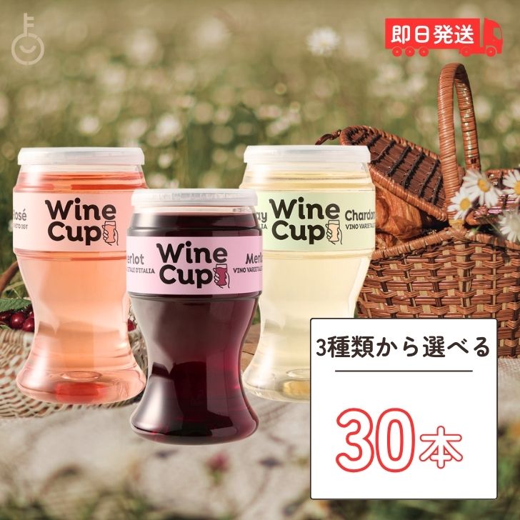 【25日限定ポイント2倍！最大2000円OFF】 イタリア ワインカップ 選べる 30本 187ml カップワイン イタリアワイン ワイン デ・アンジェリ赤ワイン 白ワイン ロゼ ロゼワイン メルロー シャルドネ ヴェネト ペットボトル ワイン ギフト お酒 酒ギフト ワインギフト