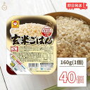 【最大400円OFF!くらしにプラス】 マルちゃん 玄米ごはん 160g 40個 東洋水産 国産 玄米 レンジ レトルト パックご飯 ご飯 ごはんパック キヌア...