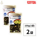 【最大400円OFF!くらしにプラス】 永谷園 業務用 みそ汁の具 その1(わかめ・ふ・ほうれんそう)100g 2個 みそ汁 味噌汁 大容量 味噌汁の具 乾燥具...