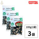 【最大400円OFF!くらしにプラス】 永谷園 業務用 みそ汁の具 その2(わかめ・ふ・ねぎ)100g 3個 みそ汁 味噌汁 大容量 味噌汁の具 乾燥具材 送料...