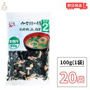 【最大400円OFF!くらしにプラス】 永谷園 業務用 みそ汁の具 その2(わかめ・ふ・ねぎ)100g 20個 みそ汁 味噌汁 大容量 味噌汁の具 乾燥具材 送...