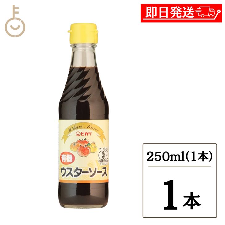 光食品 有機 ウスターソース 250ml 1個 ヒカリ 有機JAS ウスター ソース オーガニック 無添加 まとめ買い 有機JAS認定 有機野菜 果実 無添加ウスターソース ヒカリウスターソース まとめ買い 送料無料 父の日 早割