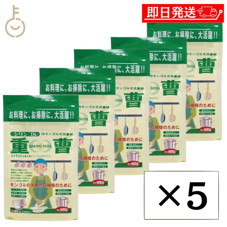 オーサワ 木曾路 天然重曹 600g 5個 オーサワジャパン 天然 重曹 ベーキングソーダ ベーキング シリンゴル重曹 内モンゴル100％天然素材 重層 木曽路物産 クリーナー マルチクリーナー 父の日 早割