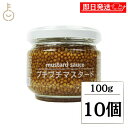 【レビュー投稿で500円OFFクーポン】 マスタード ファインドニューズ プチプチマスタード 100g 10個 粒マスタード 大粒 粒 つぶ トッピング ぷちぷ...