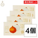 【最大400円OFF!くらしにプラス】 グリーンズ北見 北海道オニオンスープ 5g ×4 オニオンスープ オニオン タマネギ 玉ねぎ たまねぎ スープ 即席スー...