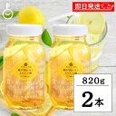 【レビュー投稿で500円OFFクーポン】 ヤマトフーズ 瀬戸内レモン&りんご酢 820g 2個 瀬戸内レモン農園 香料 着色料 保存料無添加 まとめ買い 飲む酢...