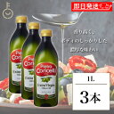 【マラソン限定!最大2000円OFF】 ピエトロ EXバージンオリーブオイル PET 1L 3本 エキストラバージン オリーブオイル エキストラバージンオリーブオイル オリーブ オイル olive oil オリーブ油 油 高品質 濃厚 イタリア 送料無料 お中元2025