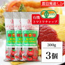 【毎月1日はKEYROOMの日】 光食品 トマトケチャップ 無添加 300g 3個 有機JAS 有機 トマト ケチャップ チューブ オーガニック organic...