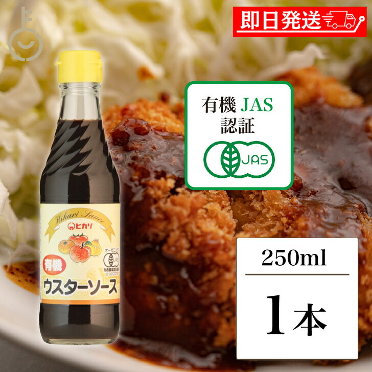 【レビュー投稿で500円OFFクーポン】 光食品 有機 ウスターソース 250ml 1個 保存料 着色料 化学調味料 無添加 ヒカリ 有機JAS ウスター ソー...