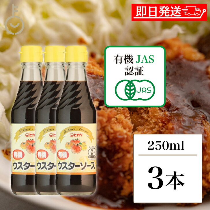 【レビュー投稿で500円OFFクーポン】 光食品 有機 ウスターソース 250ml 3個 保存料 着色料 化学調味料 無添加 ヒカリ 有機JAS ウスター ソー...