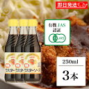 【スーパーSALE最大2000円OFF】 光食品 有機 ウスターソース 250ml 3個 保存料 着色料 化学調味料 無添加 ヒカリ 有機JAS ウスター ソー...