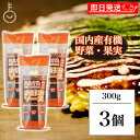 【レビュー投稿で500円OFFクーポン】 光食品 関西風 お好みソース (チューブ) 300g 3個 ヒカリ ソース 国産野菜 野菜 果実使用 果実 フルーツ ...