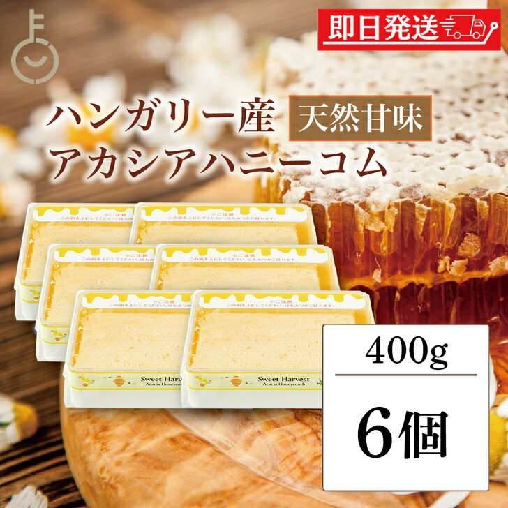 【ブラックフライデー限定!最大2000円OFF】 スイートハーベスト 豊産業 アカシアハニーコム 400g ×6 巣蜜 コムハニー アカシア はちみつ ハチミツ...