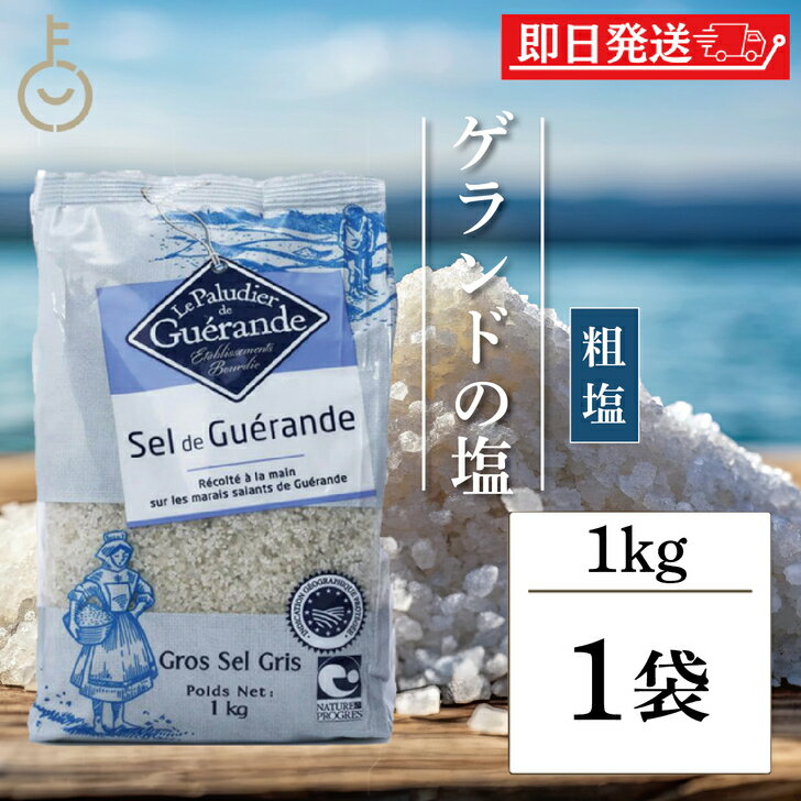 【ブラックフライデー限定!最大2000円OFF】 塩 粗塩 調味料 ゲランドの塩 セルマランドゲランド あら塩 1kg ソルト あらじお アラジオ セルマランド...
