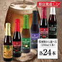 【ブラックフライデー限定!最大2000円OFF】 24本選べる ベルギービール フルーツビール リンデマンス 250ml クリーク フランボワーズ ピーチ ファ...