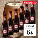 【マラソン限定!最大2000円OFF】 リンデマンス タロット ノワール 250ml 6個 ビール クラフト クラフトビール フルーツ ランビック ランビックビ...