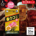 【マラソン限定!最大2000円OFF】 沖縄長生薬草本社 春ウコン 1000粒 10個 約33日分 琉球産 ウコン粒 サプリメント 健康食品 万能ウコン春ウコン...