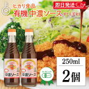 【毎月1日はKEYROOMの日】 ヒカリ 有機中濃ソース 250ml 2個 保存料 着色料 化学調味料 カラメル色素 酵母エキス 無添加 有機JAS 有機 オー...