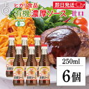 【レビュー投稿で500円OFFクーポン】 光食品 有機JAS認証 濃厚ソース 250ml 6個 ヒカリ 濃厚 ソース 有機JAS 有機 オーガニック organ...
