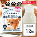 【最大400円OFF!くらしにプラス】 ドギーマン ペット 犬 ドギーマンわんちゃんの国産低脂肪牛乳 200ml 12個 doggyman わんちゃん ワンちゃ...