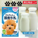 【最大400円OFF!くらしにプラス】 ドギーマン ペット 犬 おやつ わんちゃんの国産牛乳 1000ml 1本 国産 牛乳 ペット 牛乳 ミルク 犬 イヌ い...