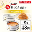 【最大400円OFF!くらしにプラス】 ふくや 缶明太子 油漬け 85g 48個 明太子 おつまみ めんたいこ 子明太子 油漬け ギフト プレゼント お返し キ...