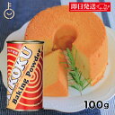 【毎月1日はKEYROOMの日】 アイコク ベーキングパウダー 100g 1個 AIKOKU 愛国 ベーキングパウダー アルミフリー 膨脹剤 無添加 お菓子作り...