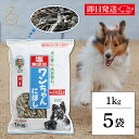 【最大400円OFF!くらしにプラス】 犬 おやつ 塩無添加 国産 ワンちゃんにぼし お徳用 1kg 5個 サカモトにぼし 塩無添加 ワンちゃんにぼし 業務用 ...