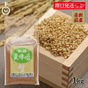 【スーパーSALE最大2000円OFF】 海の精 麦味噌 1kg 1個 味噌 みそ 保存料 着色料 化学調味料不使用 国産特別栽培原料100%使用 生味噌 調味...