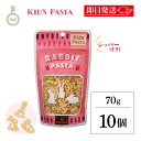 【最大400円OFF!くらしにプラス】 アルボゴルド キッズパスタ ラビット 70g 10個 パスタ マカロニ マカロニサラダ キッズ 子供 子ども こども う...