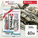 【毎月1日はKEYROOMの日】 サカモト 塩無添加にぼし 100g 40個 小魚 魚 食べる小魚 煮干 煮干し にぼし 健康にぼし 健康 塩 しお 無添加 む...