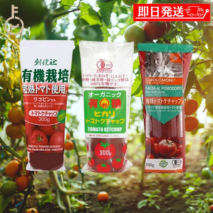 【スーパーSALE最大2000円OFF】 創健社 ジロロモーニ 有機トマトケチャップ 有機ケチャップ 光食品 トマトケチャップ 300g 各1個 計3本 グルメギフト 調味料 セット ギフト 詰め合わせ 使い比べ 料理 便利 福袋 ギフト セット商品 ランキング 業務用 大容量 送料無料