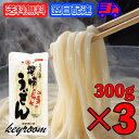 石丸製麺 うどん りつりん印 讃岐半生うどん 300g (3人前) 3袋 讃岐 半生うどん 半生 食品 麺類 うどん 讃岐うどん さぬきうどん ぶっかけうどん 香川 袋麺 半生りつりん印 業務用 大容量 送料無料