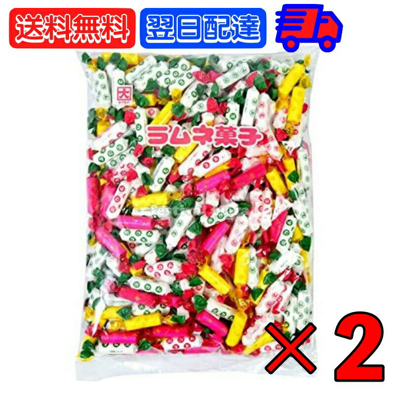 カクダイ ラムネ 1kg 2袋 カクダイ製菓 単品 ラムネ菓子 業務用 大容量 菓子まき イベント 景品 業務用 買いまわり 送料無料 駄菓子 ラムネ 個装 個包装 配布 子供会 景品 お祭り くじ引き 縁日 お菓子 おかし 大袋菓子 父の日 早割の商品画像