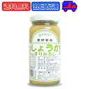 【最大400円OFF!くらしにプラス】 信州自然王国 環境栽培 国産しょうがすりおろし 150g 無添加 生姜 しょうが ショウガ ジンジャー ginger す...